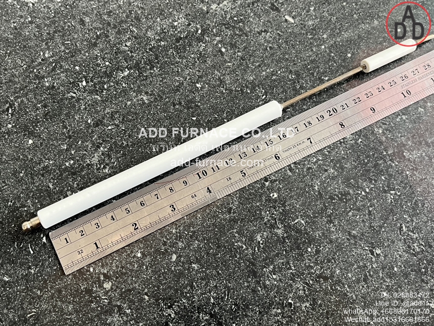 Riello Electrode 3005593(7)